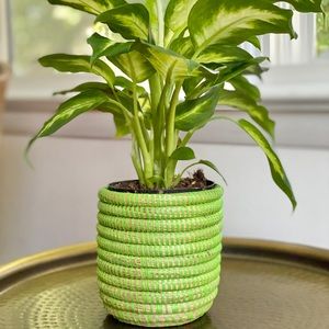 Green woven planter vase